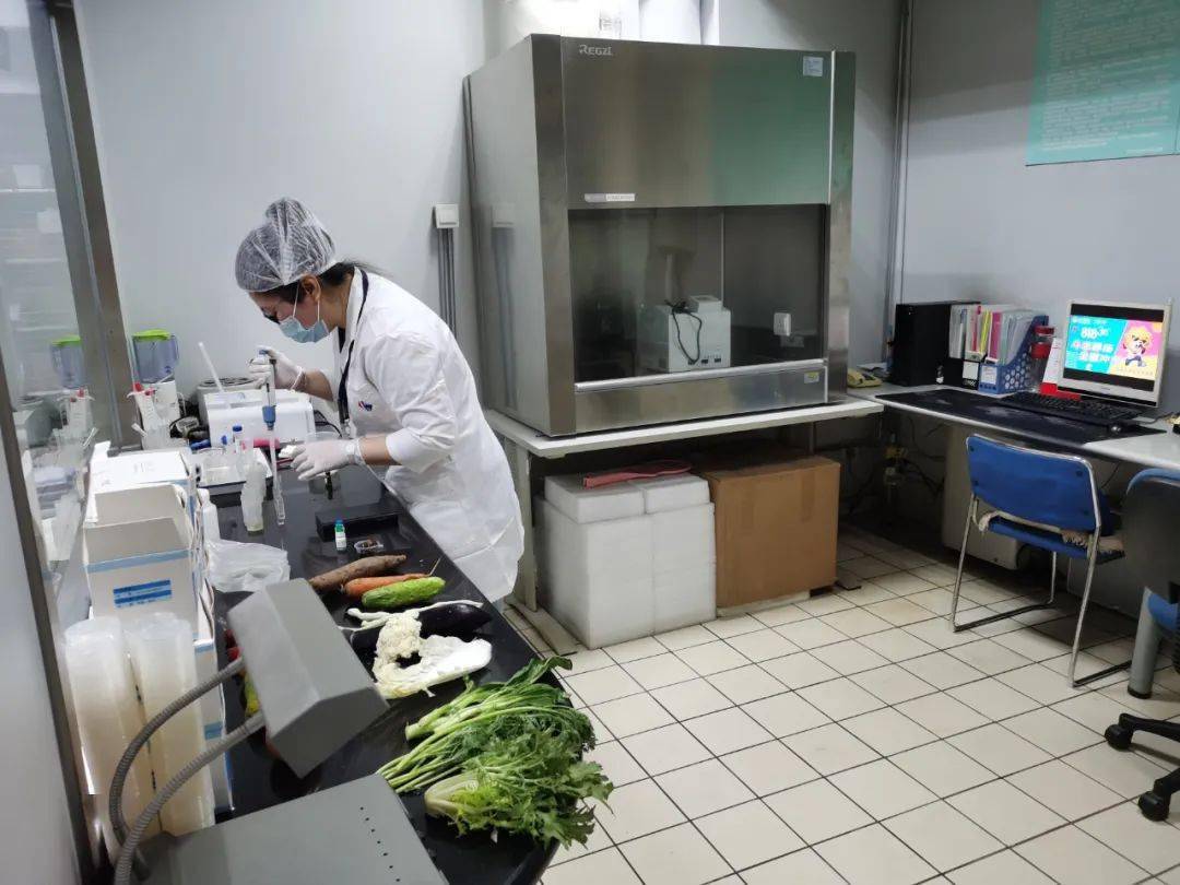 龙门镇食品检测实验室装修方案